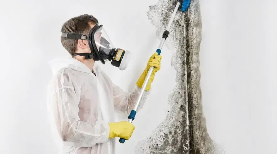 Fields Mold Remediation technician cleaning mold on wall in San Ramon, CA