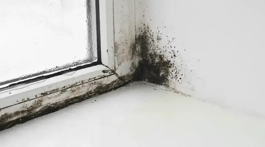 Fields Mold Remediation technician performing Mold Damage Restoration in a San Ramon, CA home