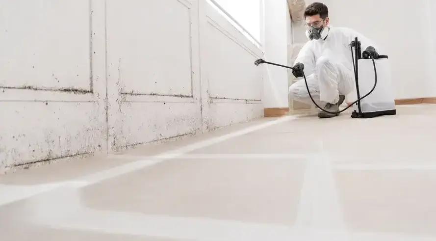 Fields Mold Remediation technician performing Commercial Mold Remediation in a San Ramon, CA home