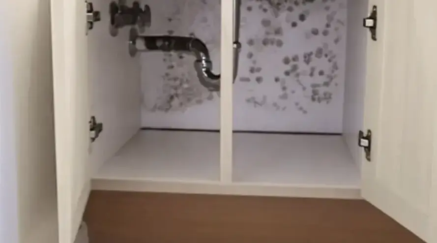 Independent provider performing Kitchen Mold Removal in a San Ramon, CA kitchen, connected through Fields Mold Remediation